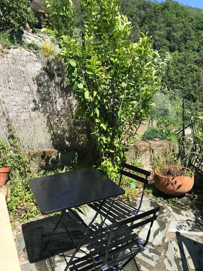 Cottage La Terrazza レヴァント 0*,